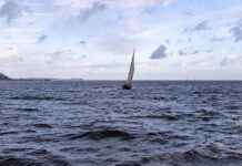 Segelboot Boot