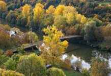 Brücke im Herbst