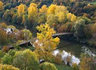 Brücke im Herbst