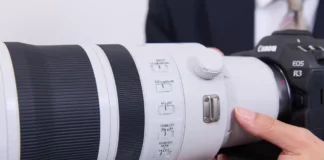 Canon RF 100-300mm F2.8 L IS USM