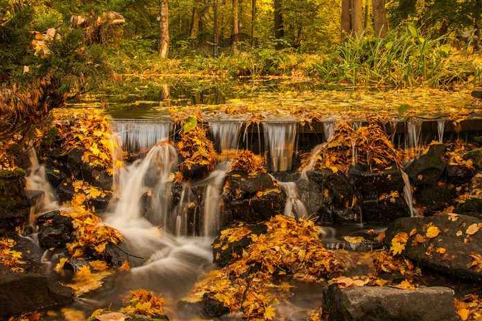 Wasser im Herbst