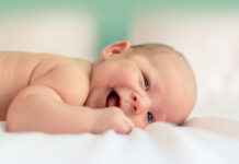 Babys fotografieren