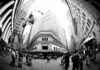 Fisheye Objektiv kreativ anwenden in der Fotografie Fisheye New York