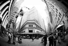Fisheye New York