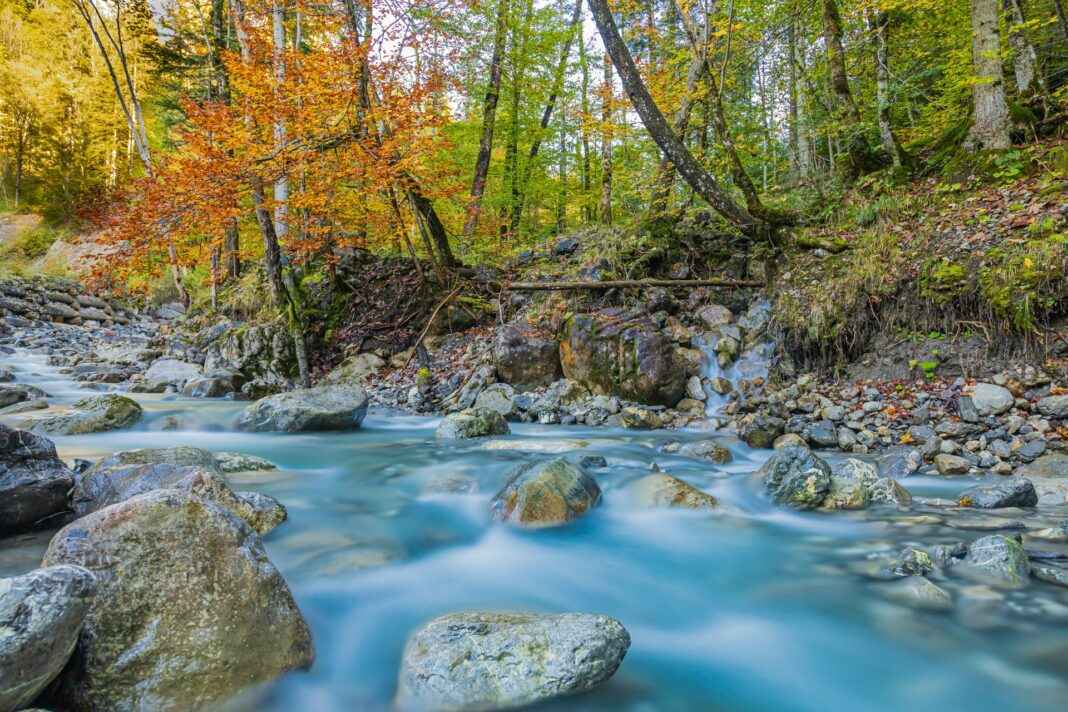 Herbst Fotografie