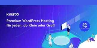 Kinsta Wordpress Hosting