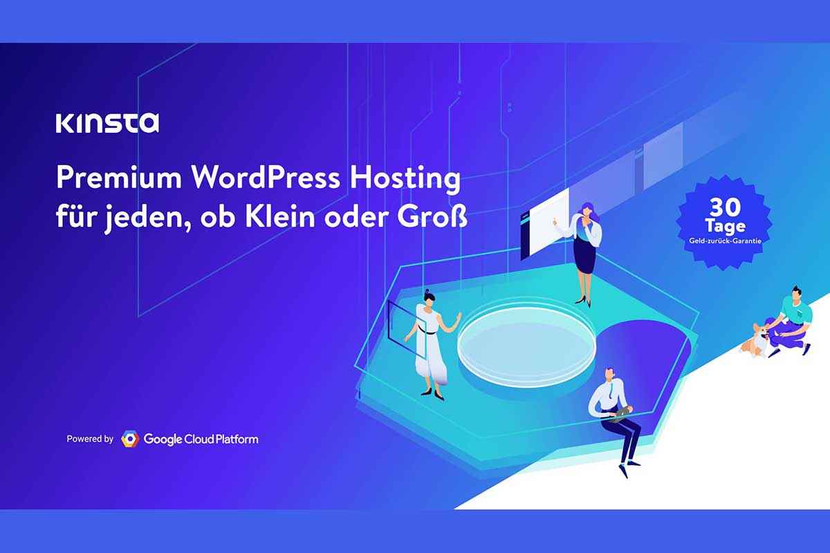 Kinsta im Wordpress Hosting Test - der Tempo Hammer