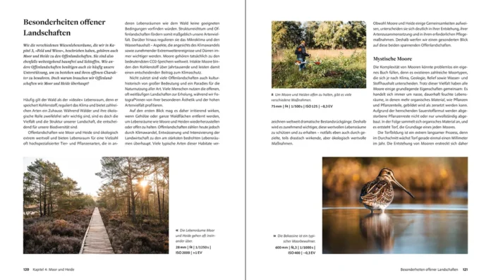Leseprobe Wildtiere fotografieren