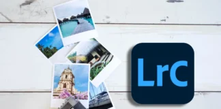 Lightroom Katalog organisieren