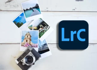 Lightroom Katalog organisieren