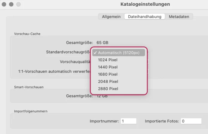 Lightroom optimieren mit Anzeigegröße