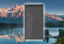 Presets in Lightroom