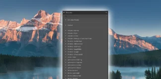 Presets in Lightroom