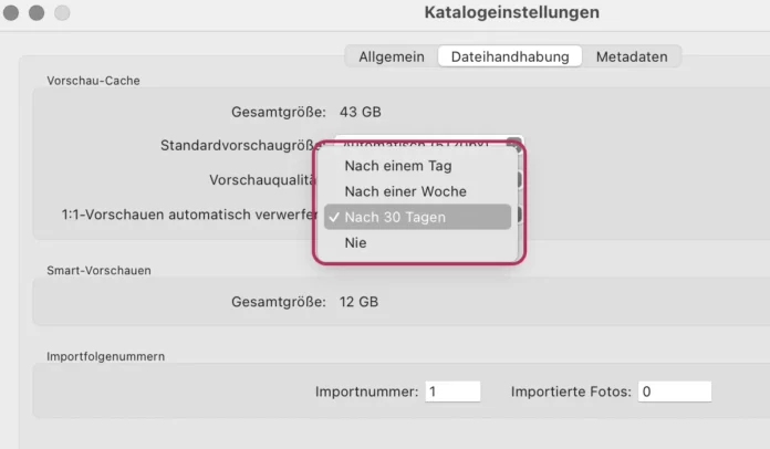 Lightroom optimieren Vorschau