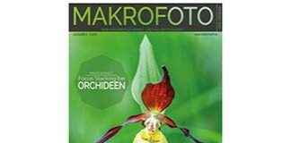 Makrofoto Magazin