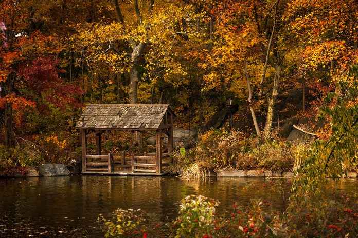 Die Farben des Herbstes fotografieren ist nicht schwer