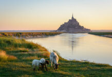 Mont St Michel