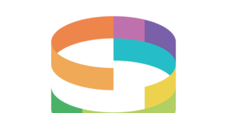 Snapbridge Logo