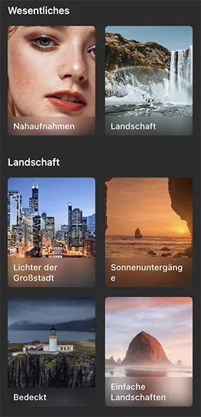 Presets in Luminar Neo