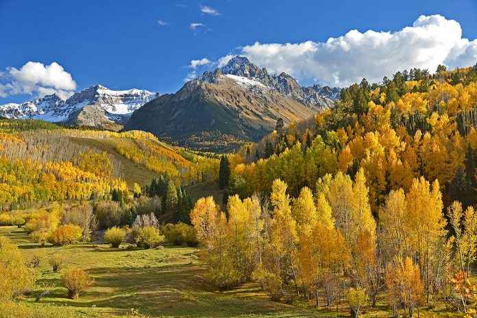 Farben des Herbstes