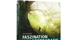 Faszination Waldfotografie