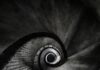 Wendeltreppe