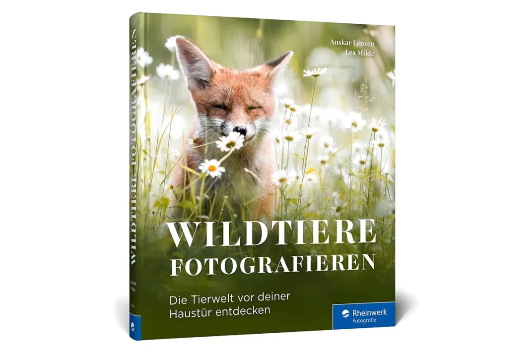 Wildtiere fotografieren Buch
