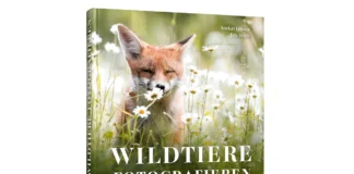 Wildtiere fotografieren Wildtiere fotografieren Buch