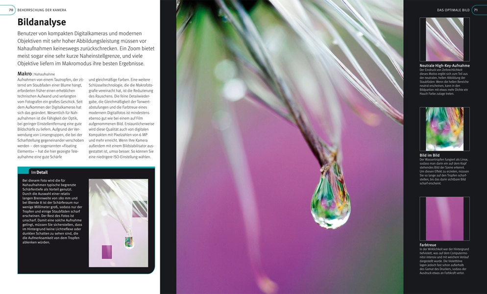 Bildanalyse aus dem Buch Digitale Fotografie die Profitechniken von Tom Ang
